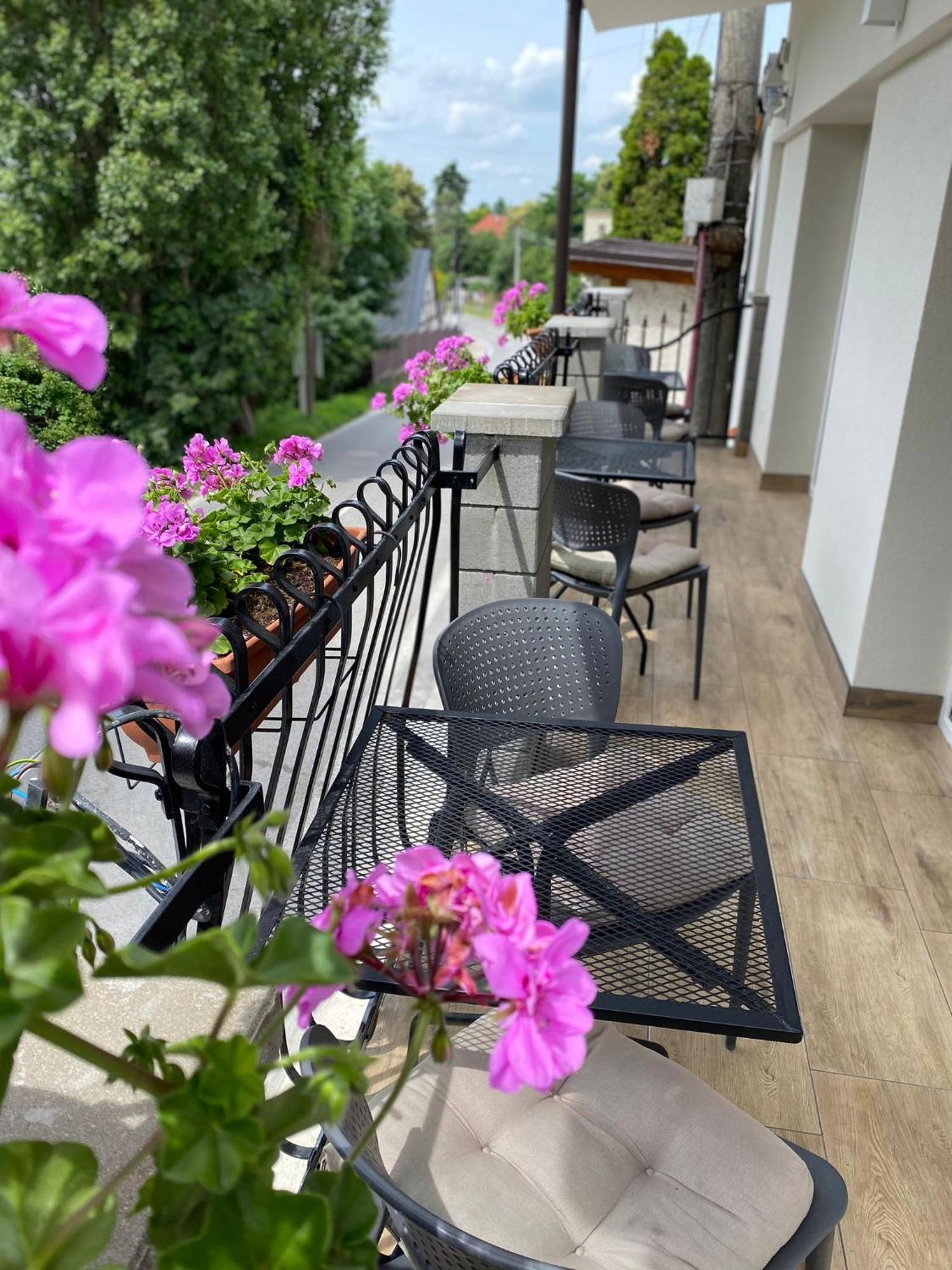 & Pool Prestige Ivica Aparthotel 3*